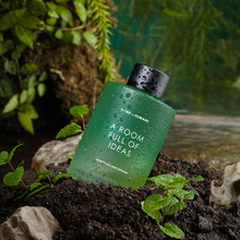 Muat gambar ke penampil Galeri, HOME of HUMANS A Room Full of Ideas Reed Diffuser 140 ml