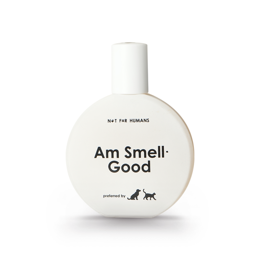 Not For Humans Am Smell Good 50 ml