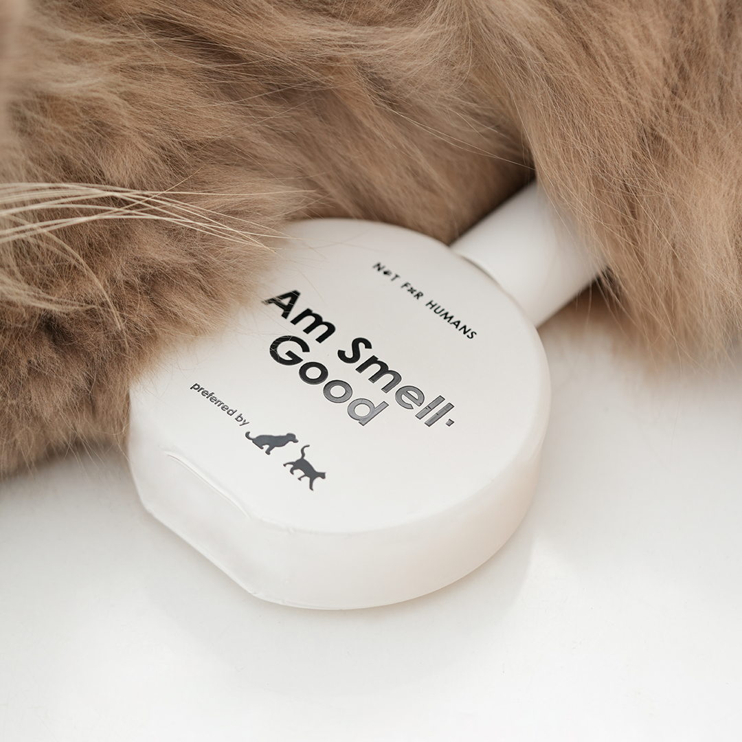Not For Humans Am Smell Good 50 ml