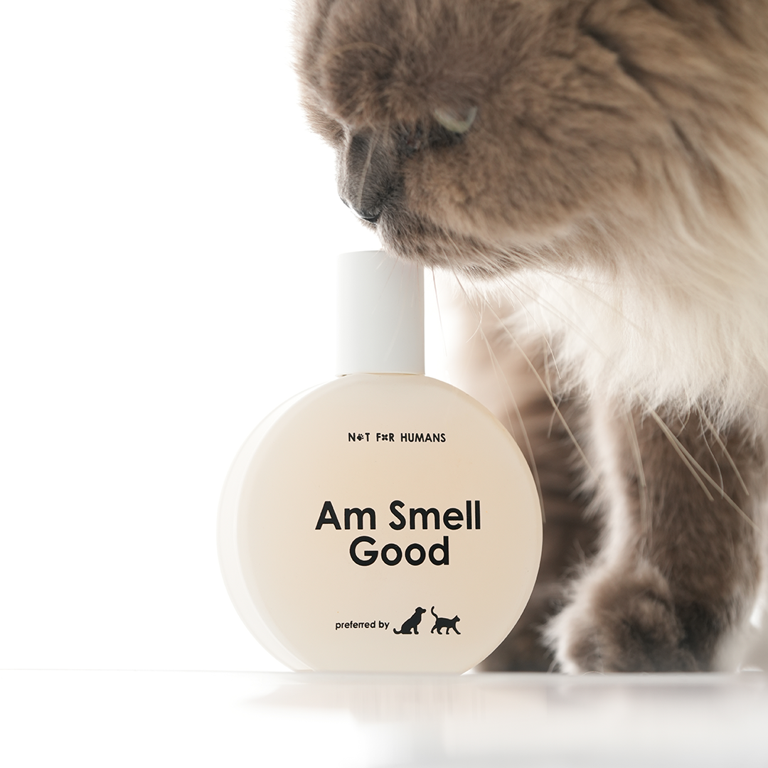 Not For Humans Am Smell Good 50 ml