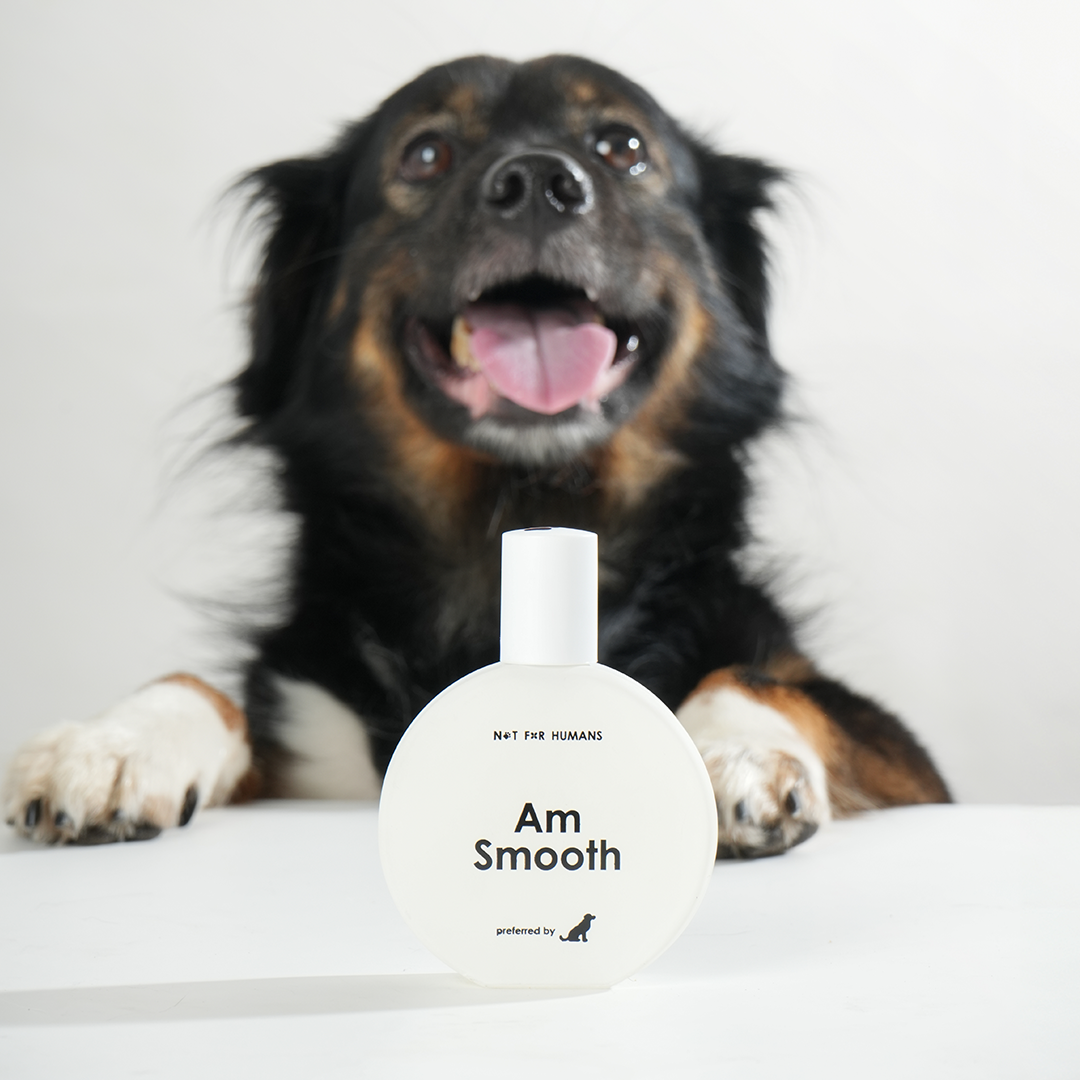 Not For Humans Am Smooth 50 ml