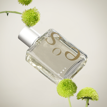 Muat gambar ke penampil Galeri, HMNS Essence of The Sun Eau De Parfum 100 ml