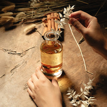 Muat gambar ke penampil Galeri, HOME of HUMANS A Much Lively Living Room Reed Diffuser 140 ml
