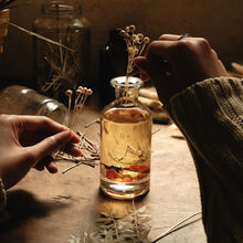 Muat gambar ke penampil Galeri, HOME of HUMANS A Much Lively Living Room Reed Diffuser 140 ml